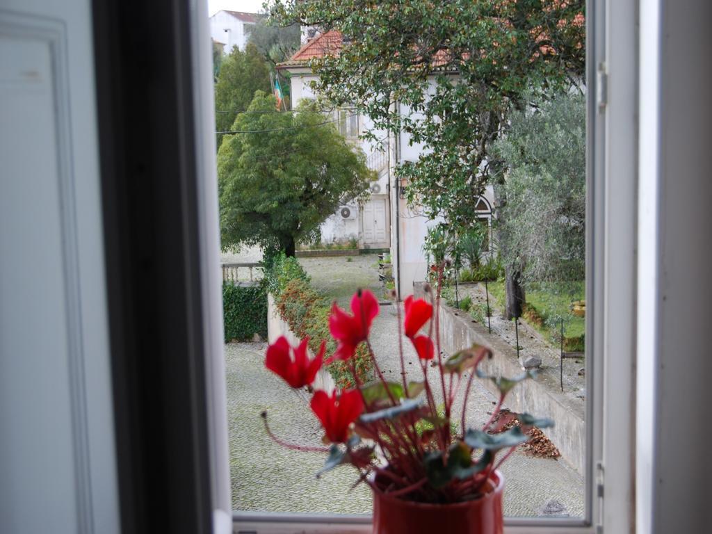 Adore Portugal Coimbra Guest House 外观 照片