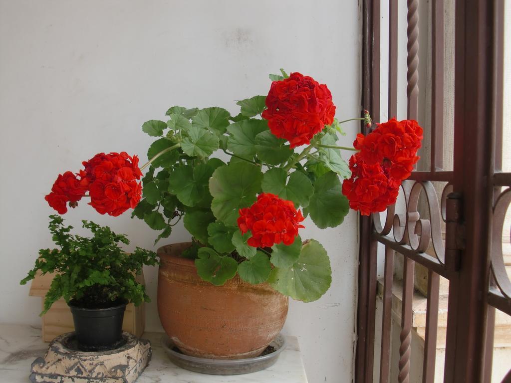 Adore Portugal Coimbra Guest House 外观 照片